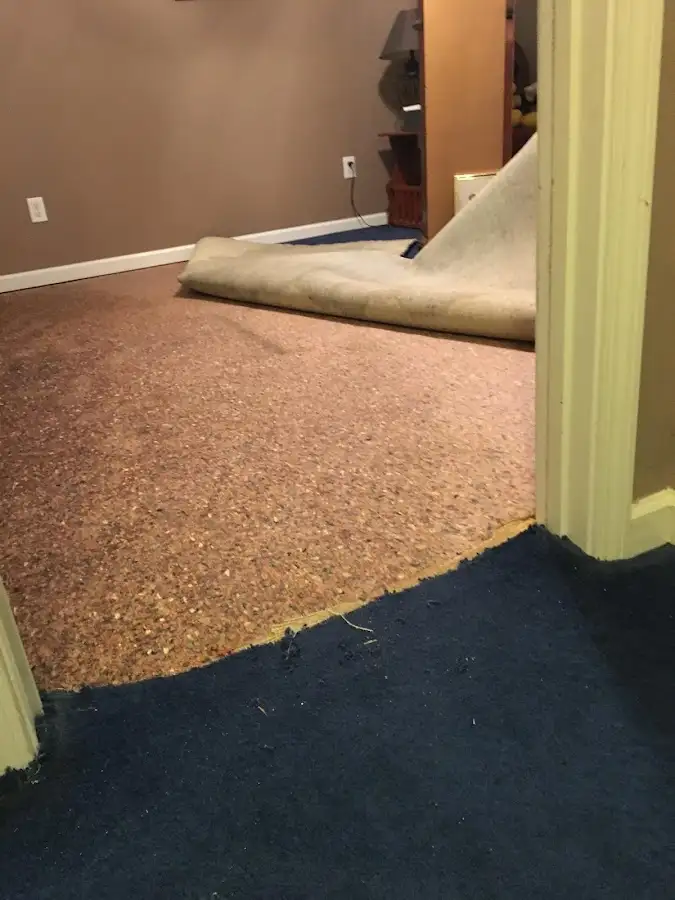 Carpet pad removal revealing water damage during Drying & Dehumidification in Taunton